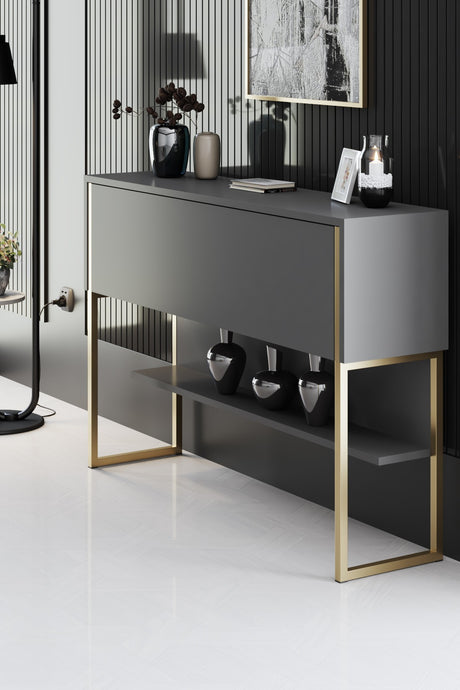 Modernes Sideboard Anthrazit Luxus 120x80x30 - Goldener Rahmen - Ein Fach