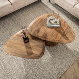 Mango Cove Driehoekige Salontafel Set van 2 Massief Mango Zand