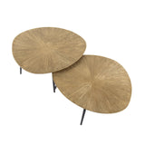 Arno Couchtisch Set von 2 Ø77-Ø60 organisch antikes Gold 