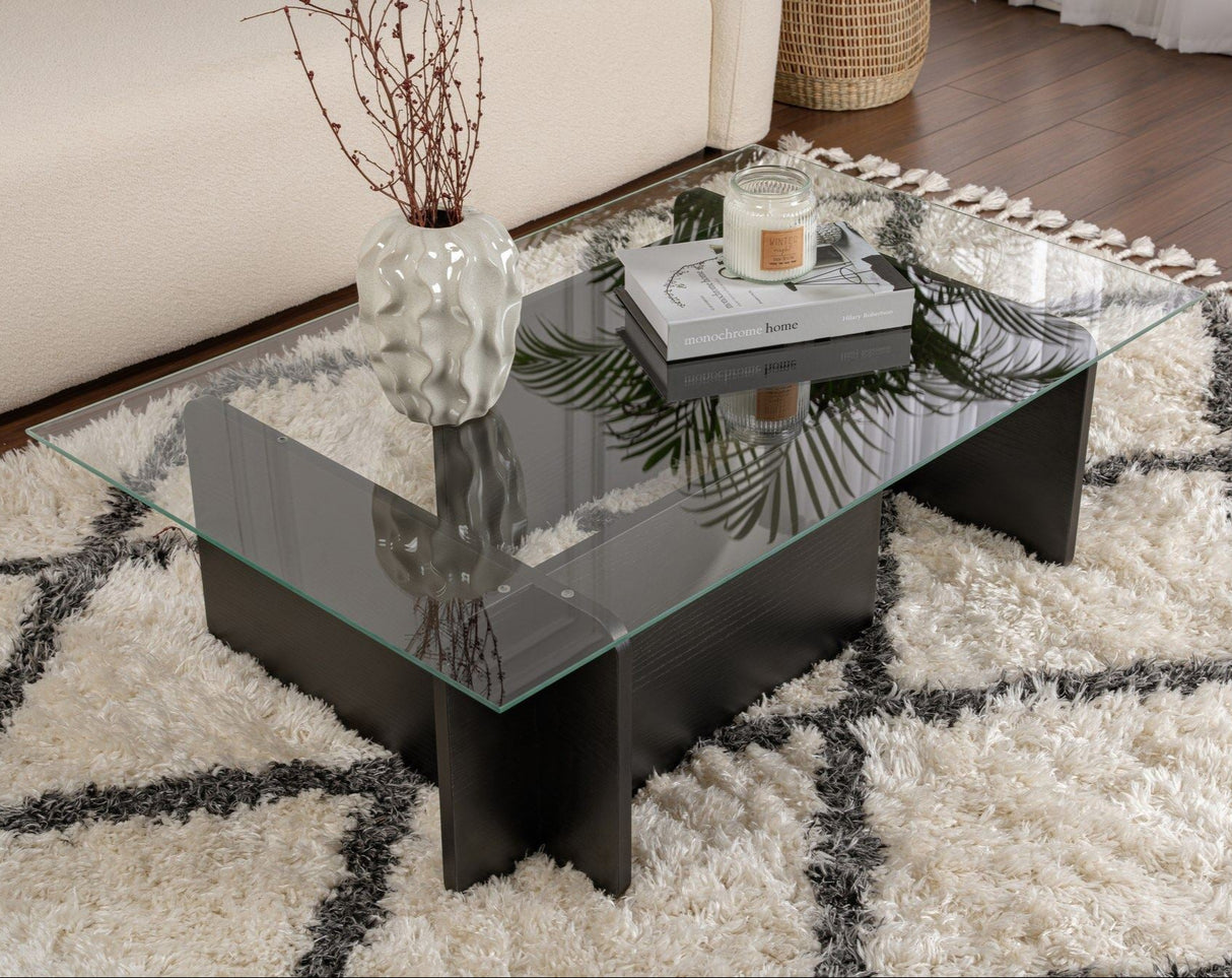 Couchtisch Schwarz Holz Melamin Glas Opal 105x65x30 cm 