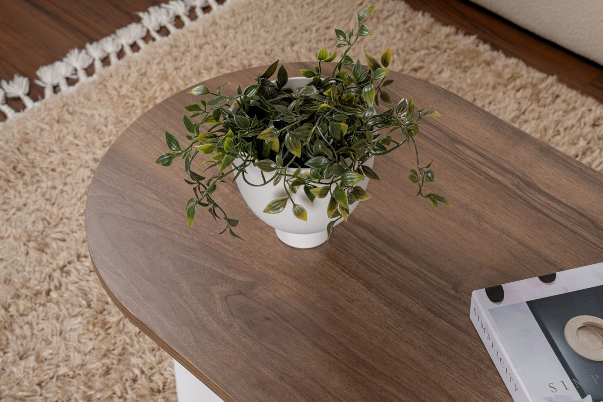 Ovaler Couchtisch Nussbaumoptik - Weißes Bein - Sabla - 119x60 