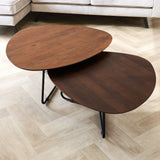 Salontafel Zoë Dark Walnut Set Dimehouse Bruin LxBxH 104x95x38 Mangohout Sfeerfoto schuin vooraanzicht